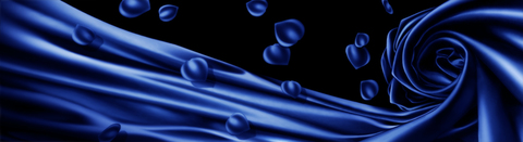 F24854b796b16dfd469ebd3992f95d7d