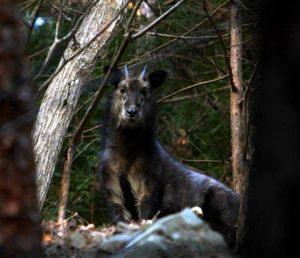 271e7e617297d46b0e063b5e81014a8f