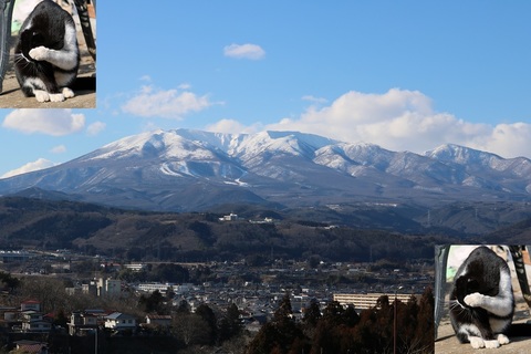 60af7b7451e39a2fa998f53fcc3659be