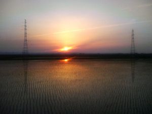 4905185305dc4b79d5e62f341a507bff