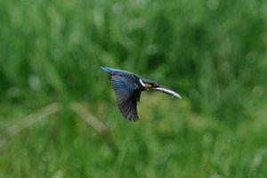 568824fcd374c2abe6f752cd44317ac6