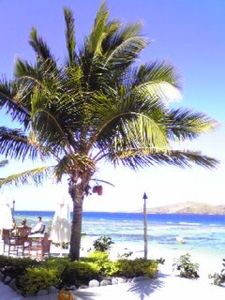 C428be4a7c60689ed5b6749d561d49a1