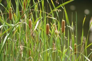 Ddc0c44d42ed3624c87c2fc619ba85a7