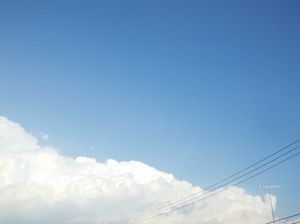 901c645dceba7b9c1ad1b252a0fdf05d