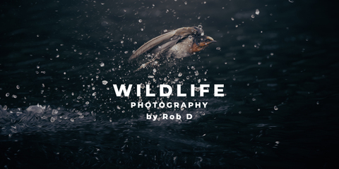 Ff9cf0e5e03ef4a1c06b3c539c910218