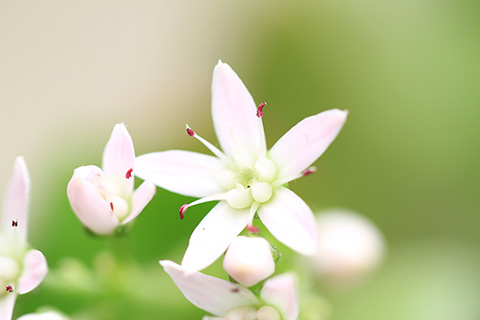 E98034b530952d83569f2978ad5d99f1