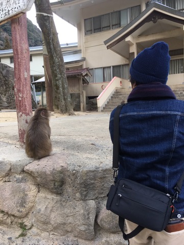 3e564b44d1e6b226a8fb118bcabe5c7a