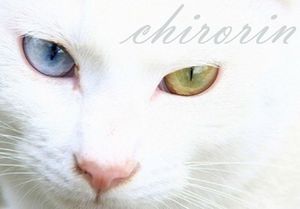 9103574476ecfeacef3c3f1c1bed2fc6