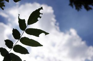 38c14c98578b13b1afaabd9968cac40b