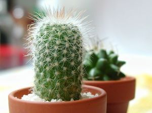 3dfb35aa85fdd9b0e9aae6af3127e83b