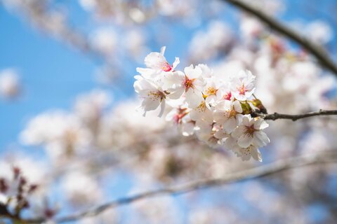 9f143c6617fb7b4b9075f4bab3596204