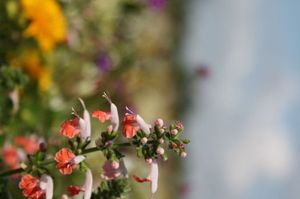 E7bfbd42c43a676a5265e750abad2997