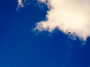 3863ab537ee119b9325def8abe345122