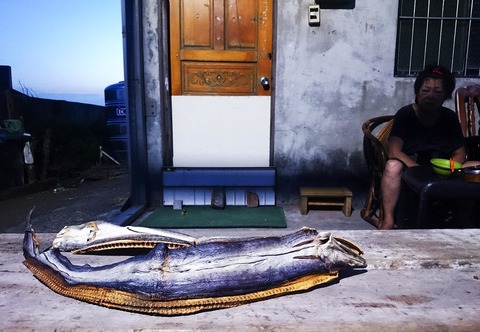 823b5c735192ef68d789023f4c63694d