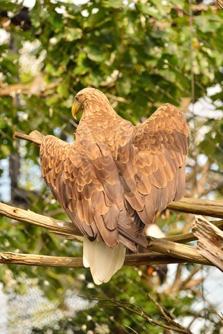 44fda37505122d52ce77fcb09e638b84