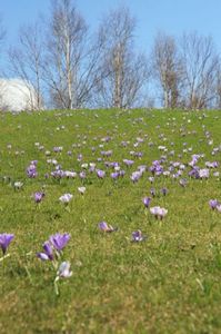 B94f5659dd946df0f5227cbd03a17877