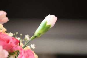 807ac3ffa9ed1ecfcbe2cc514152d5a2