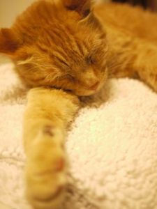 346329edd00fc8cf073f05455ee0004e