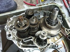 Faa15d679380a459d2e684ec37b601f8