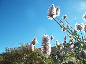 3a2ab28d9408a1ec90dd4f378b04c3d0