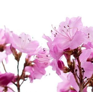 8603467cb666378a657d83e3eb9ff385