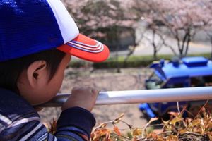 2f149722bc70503b380ee782d8c5b4a4