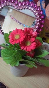 726c097c7eb1c23accabe83944f04db9