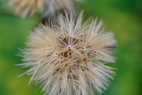 34ba2b5389580a56f69fbc823a2efa73