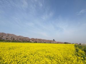 C54a4ca770962f0cb5ad5e281a955e4e