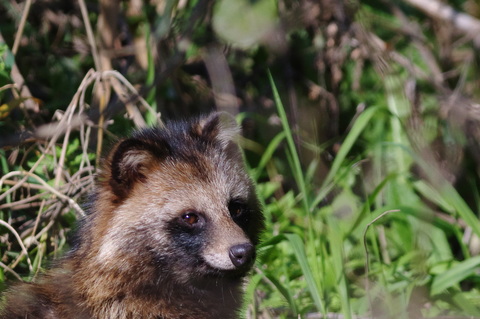 A48722434681786426140a845835601c