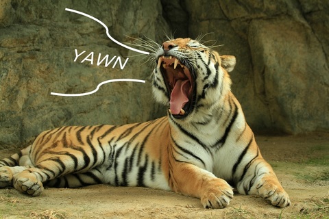 C05eae5c980dc3c47ae2c4700d203414