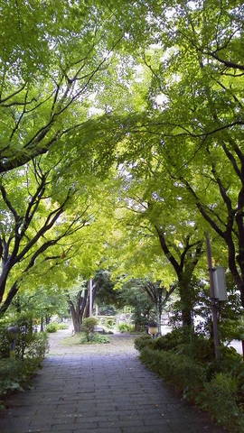 Cc0695df5decc8810ef64b04ccdae25b