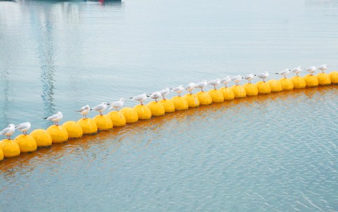 982965601ce8ce98fa4edcc75547ca29