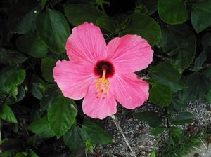 62cfc762766d93c2620fad588befde37