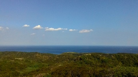 89ddefd0a53549bbb7b51b9f47217d59