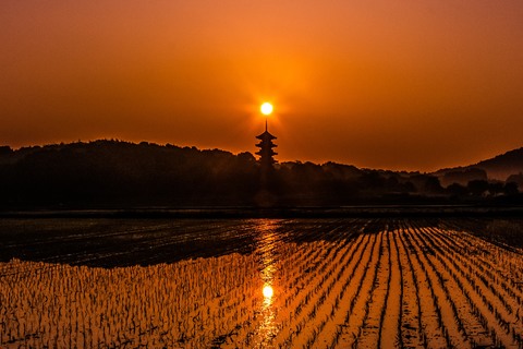 6fabe8cef73877ed790ca2136a63a66f