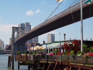 E843a7182b7436667a98f8e188d65cba