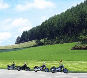 80b02a5819bbaffdefbeb6c48c92a810