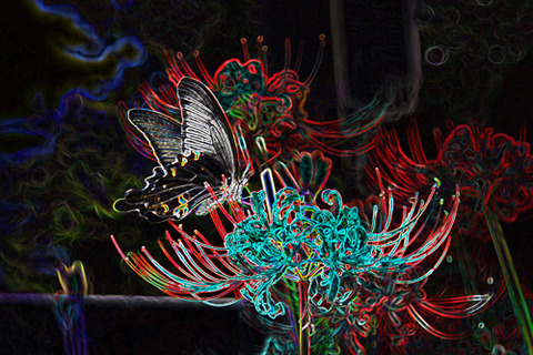 3c1658f79d6009ad14c4ede3e8273dd6