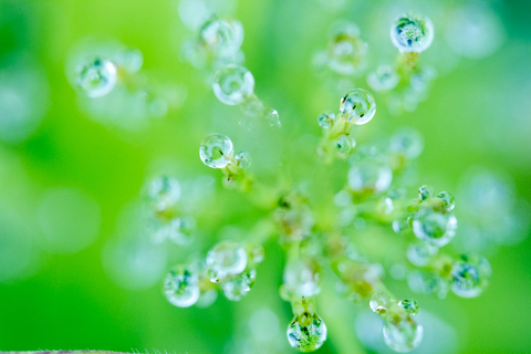 4e6cbd3ac486491882e25ce88a982ff0