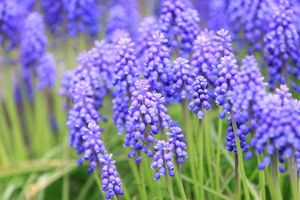 Efa1dacce70c886e1bd8c91d60c21488