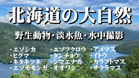 19a8567281c2ab3d58af5056027a28fc