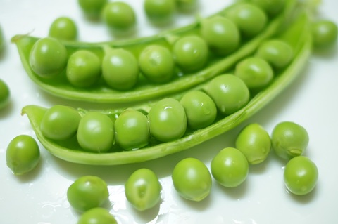 Ee4c900ba083fe9d1a2954dc97c68a81