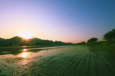 Eff07bb29e6702260433428ed93751bc