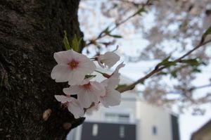 62f514b3a58e96a0109d4bb1372557bc