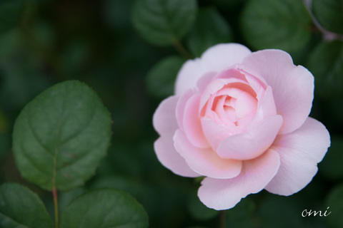 428f2345f387fc069eb52ac53c27bbde