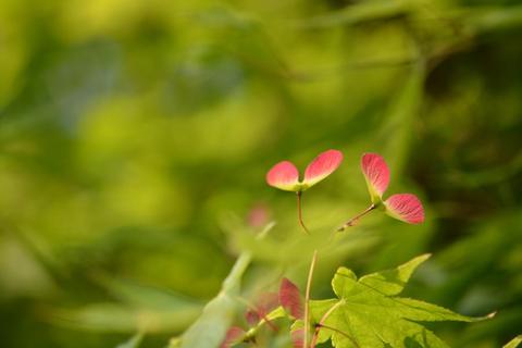 1123cc4ba85e6043e1149f2e57f43b59