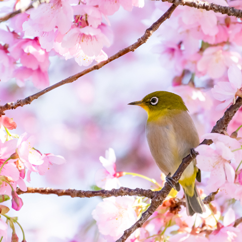 837b1918240245154e6208752e3b1fa0