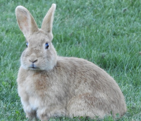 8f9b6209b556187d58acdfbbd07bfb15