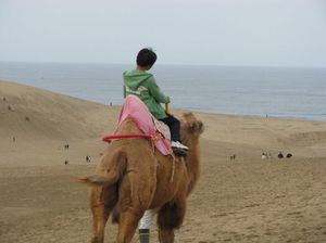 F3b1b78129354e080506d33f02a6fc77